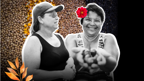 Protagonistas do campo: conheça as valentes mulheres que estão na linha de frente da agroecologia na comunidade Vila Rica, em Quixadá